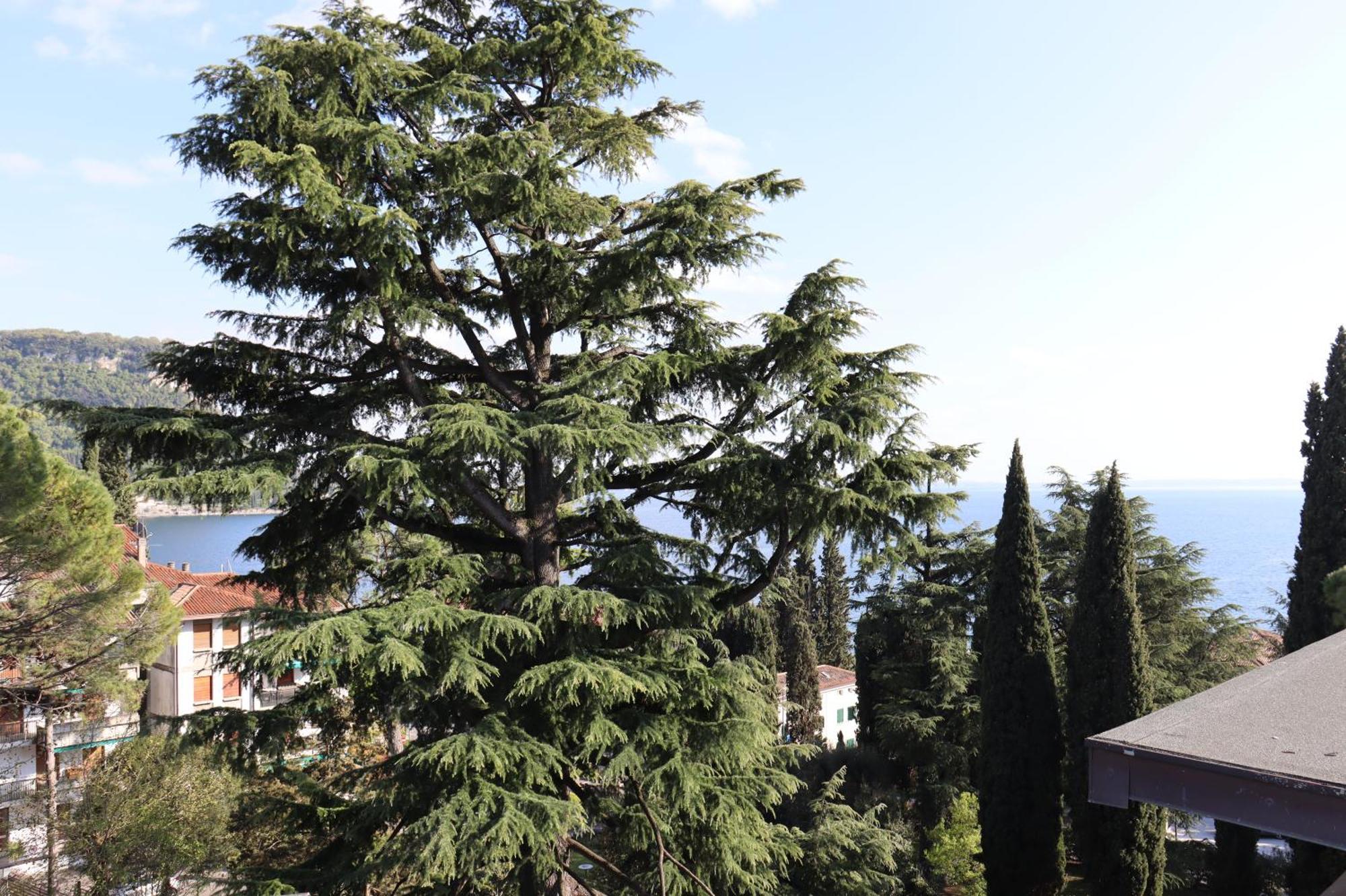 Monika Holiday 315 Magic Lake Garda  Buitenkant foto